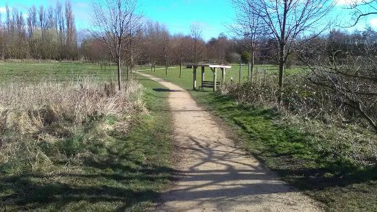 Witham Way Country Park